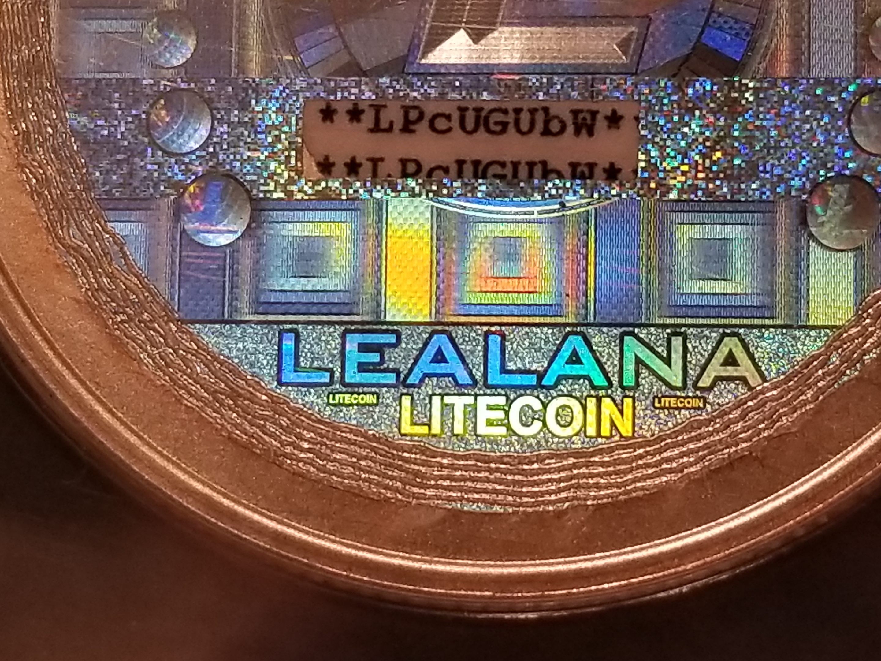 Lealana 10 LTC error 2013