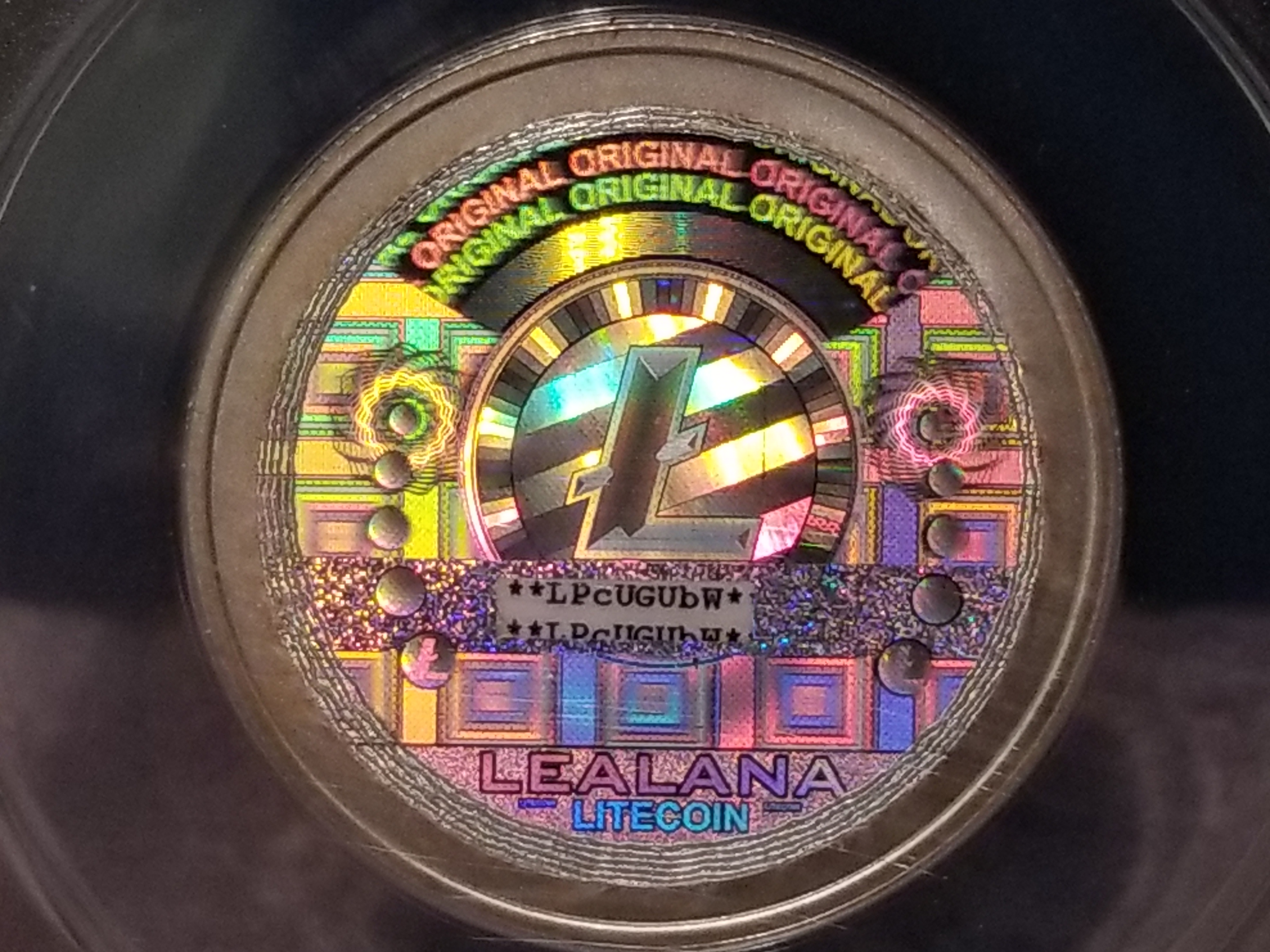 2013 Lealana 10 LTC with error
